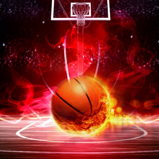 乐球体育大师——篮球鉴定预约中心