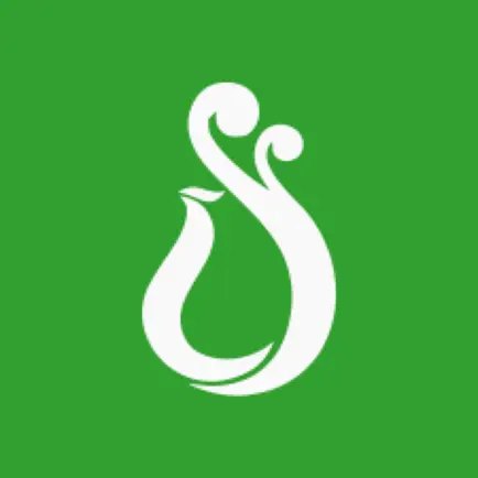 常春藤辅导 Читы
