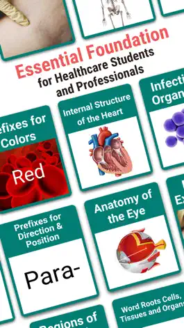 Game screenshot Medical Findings apk