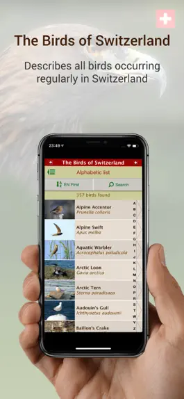 Game screenshot The Birds of Switzerland mod apk