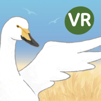 을숙도 생태탐험 환경교육 VR콘텐츠