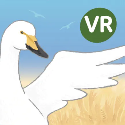 '을숙도 생태탐험' 환경교육 VR콘텐츠 Читы