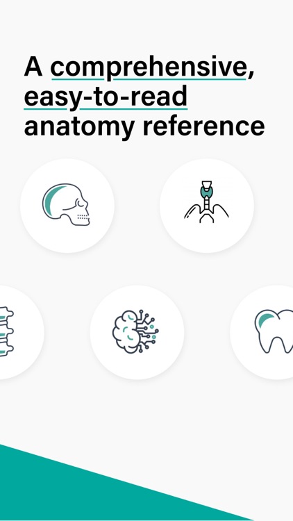 TeachMe Anatomy: 3D Human Body