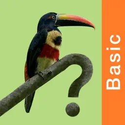 Costa Rica Birds Basic app icon