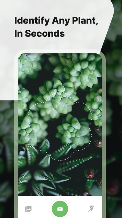 Plant Identification ++