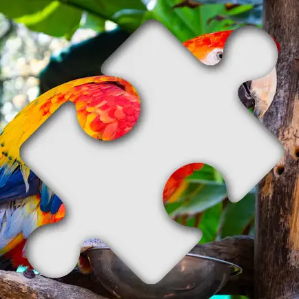 Jigsaw Photo Puzzle Deluxe Cheats