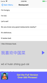 Speak Chinese Phrasebook Lite screenshot