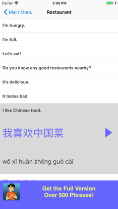 Speak Chinese Phrasebook Lite screenshot 4
