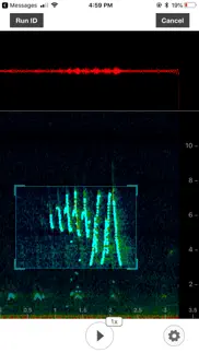 song sleuth bird song analyzer iphone screenshot 3