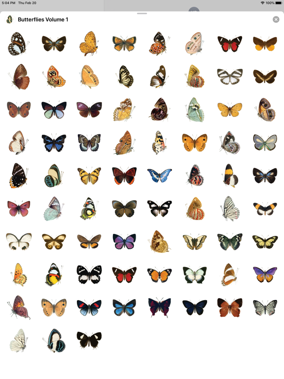 Screenshot #4 pour Butterflies Volume 1