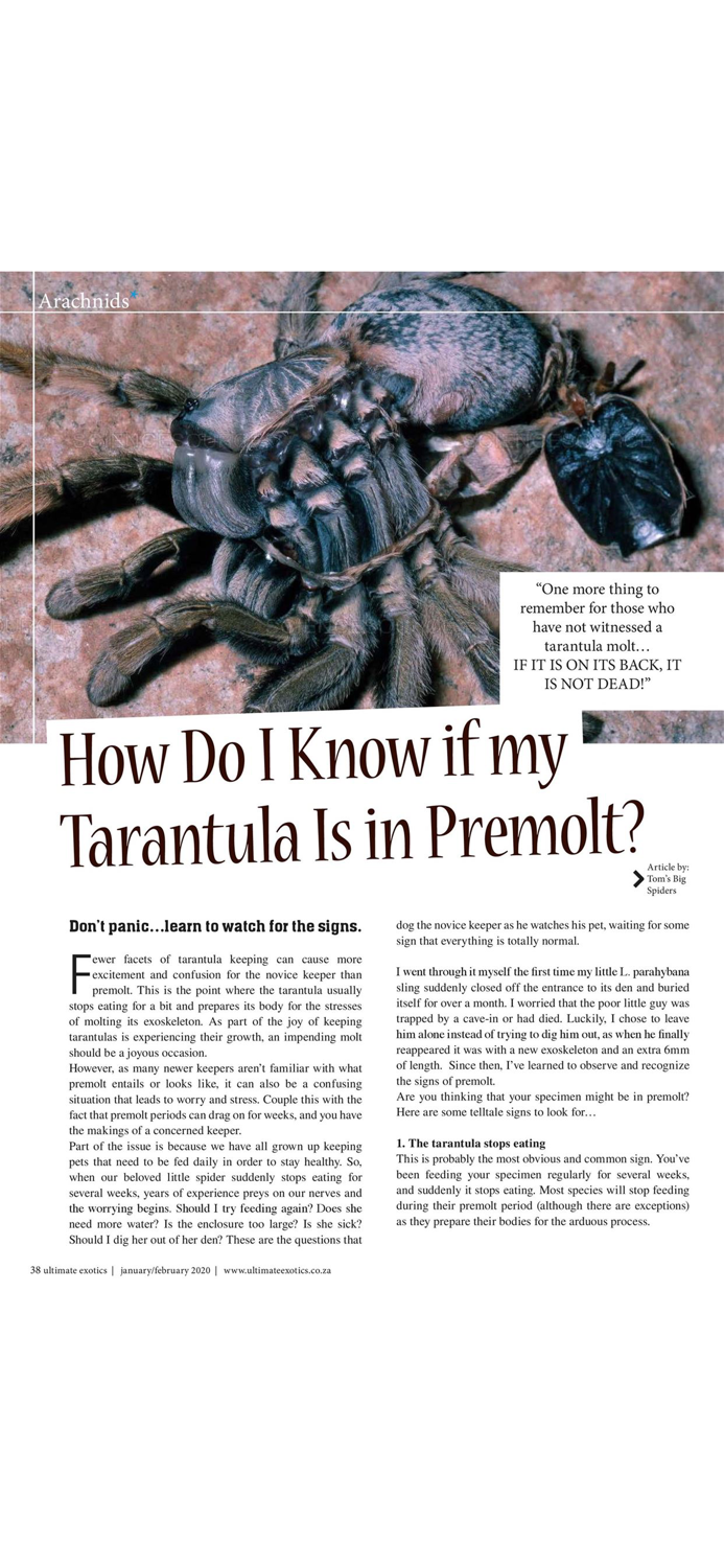 Ultimate Exotics Magazine