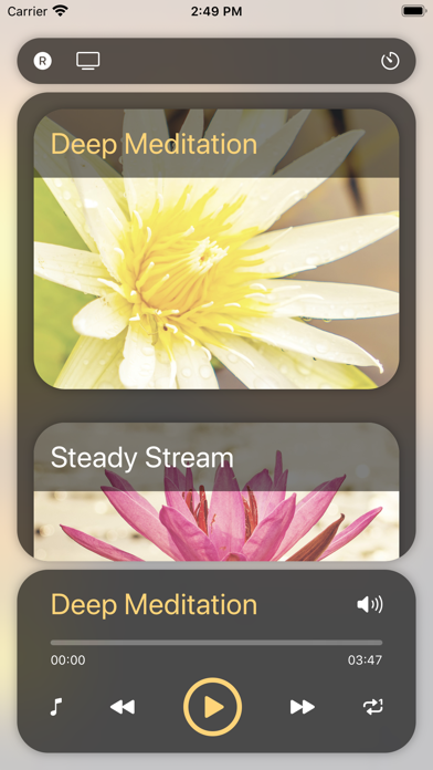 Screenshot #1 pour Méditation zazen musique