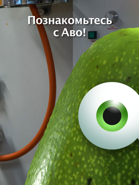 Аво на iPad