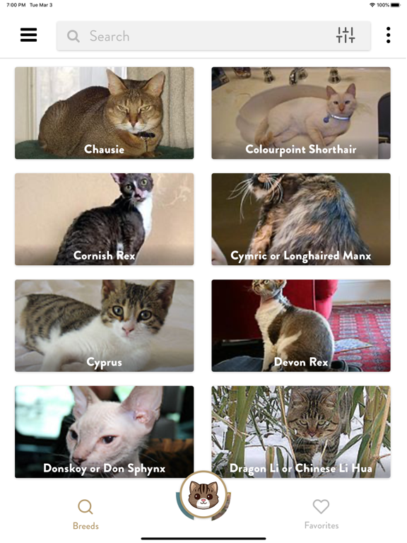 Screenshot #4 pour Cats Pedia: Breed identifier