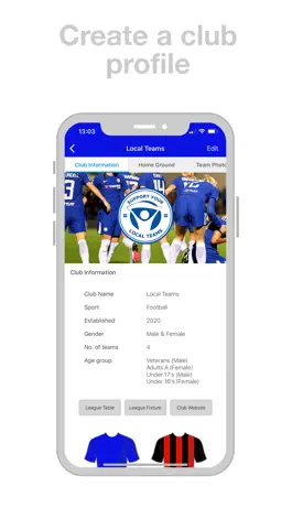 Game screenshot Local Teams apk