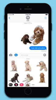 labradoodle stickers iPhone Captures Décran 1