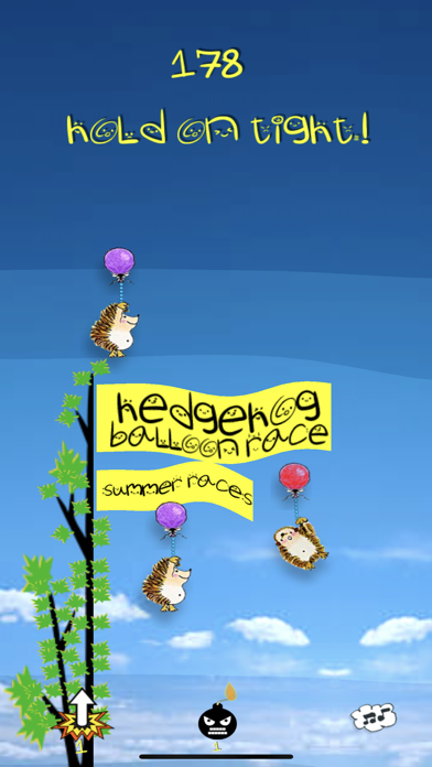 Hedgehog Balloon Race Screenshot