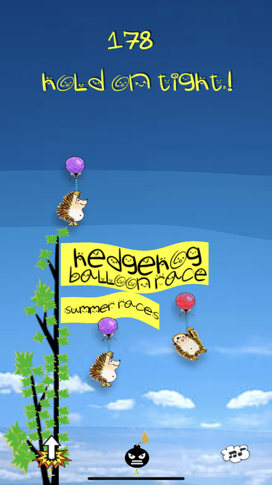 Hedgehog Balloon Race - 1.1.1 - (iOS)