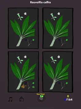 Game screenshot The Tree Seasons mod apk