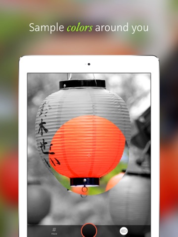 Screenshot #4 pour Qolor - Fast Color Grabber