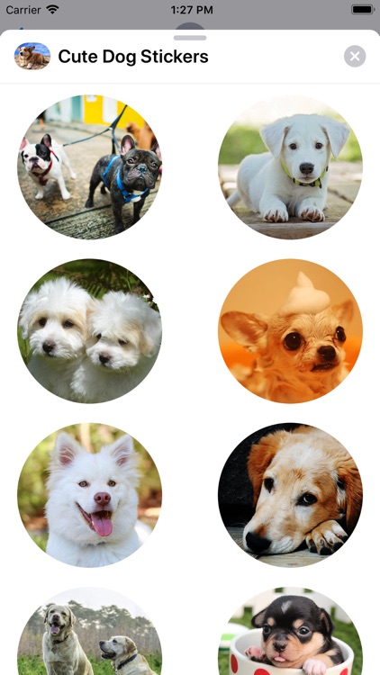 Cute Dog Sticker Set screenshot-6