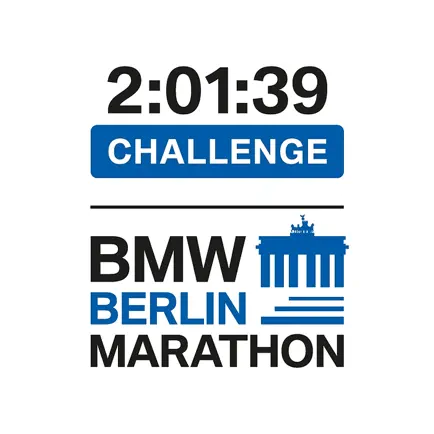 20139 Challenge Читы
