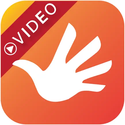 CSite Automated Video Читы