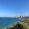 Icon Tel Aviv Guide and Travel