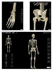skeleton system pro iii ipad images 2