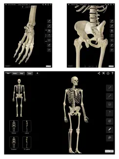 Skeleton System Pro III iPad image 2