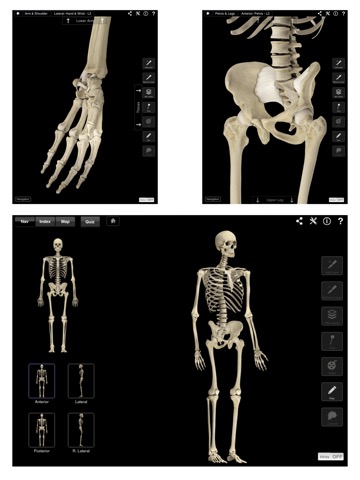 Skeleton System Pro IIIのおすすめ画像2