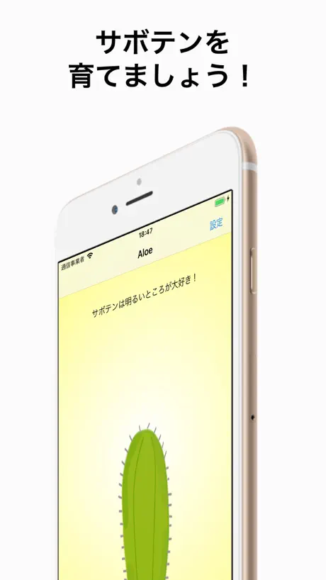 サボテン
