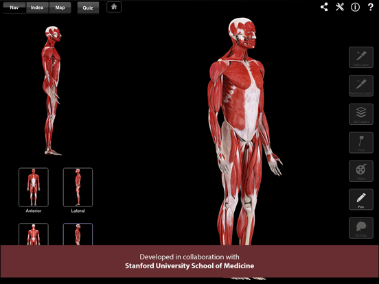 Screenshot #4 pour Muscle System Pro III