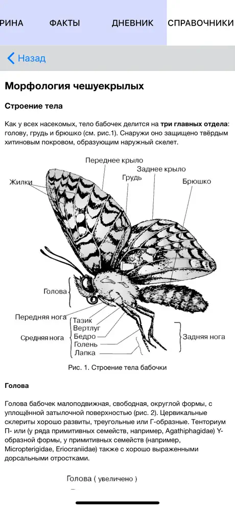 Экогид - Бабочки