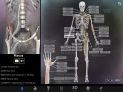 Muscle & Bone Anatomy 3D iPad image 4