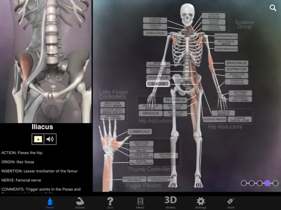 Muscle & Bone Anatomy 3Dのおすすめ画像4