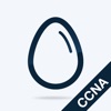 CCNA Practice Test Prep