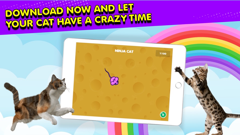 #1. Ninja Cat: Game for Cats (iOS) 来自: Team Penguin