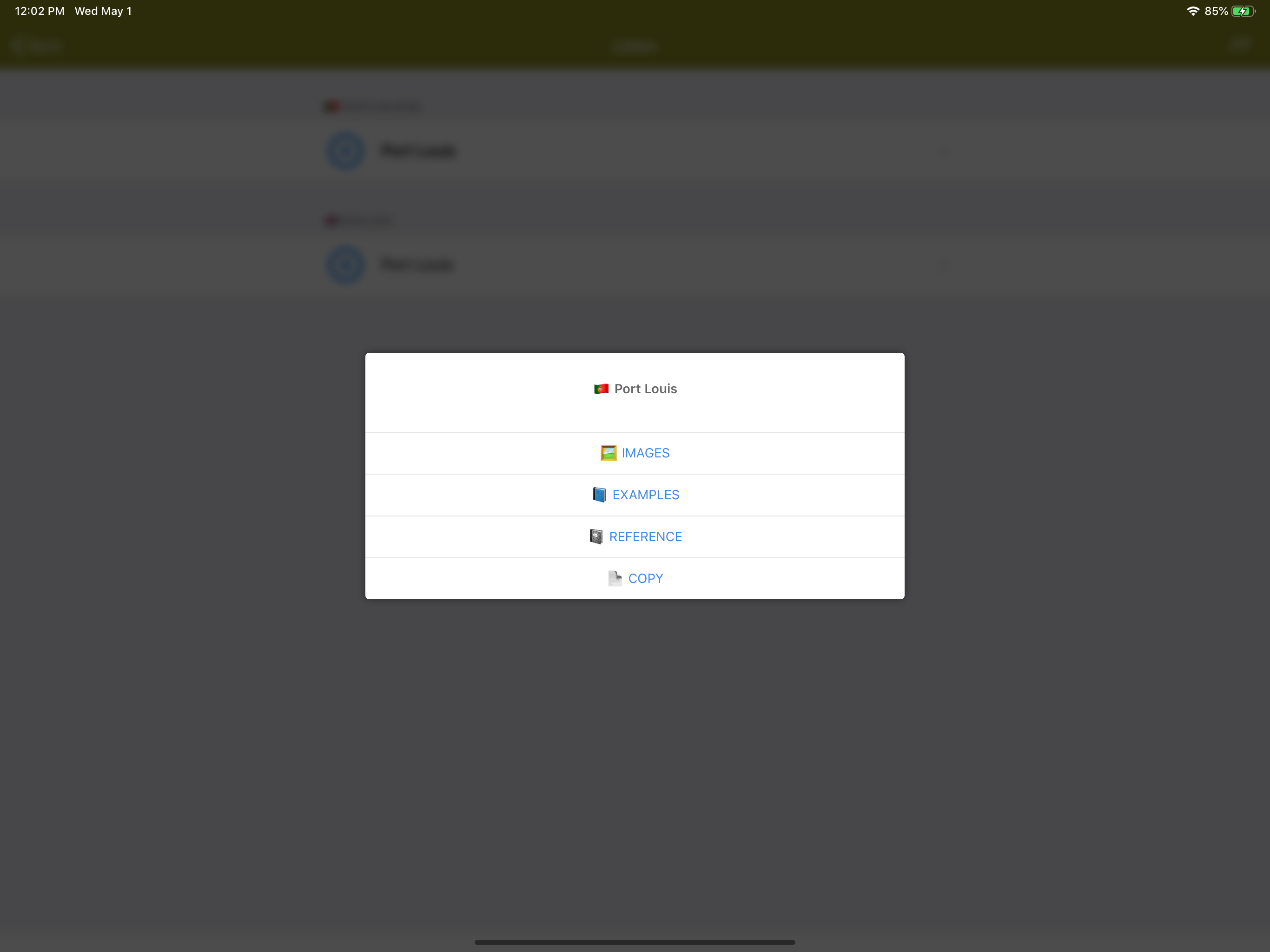 Quick Portuguese Dictionary screenshot 9