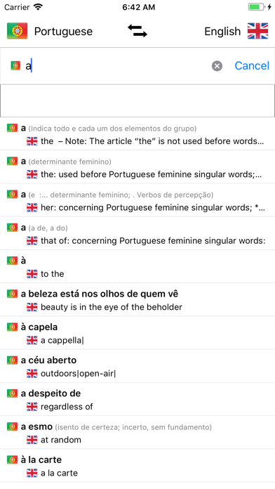 Portuguese/English Dictionary Screenshot