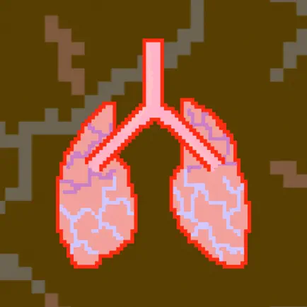 Medication-Meditation Cheats