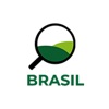 YAGRO Brasil