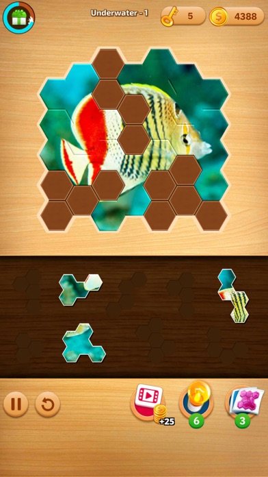 Screenshot #3 pour Puzzles Ⓞ Jigsaw Puzzles Hexa