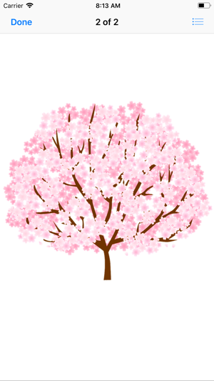 Spring Cherry Blossoms(圖3)-速報App