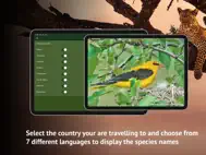 The Golden Safari Guide ipad bilder 3