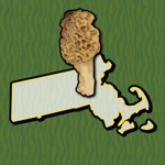 Download Massachusetts Mushroom Forager app