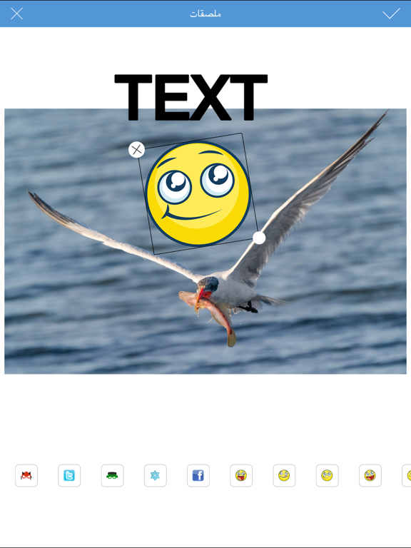 Screenshot #5 pour كتابة على الصور برنامج تصميم