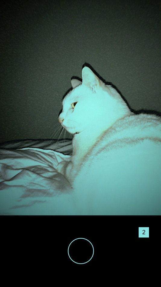 #2. DAZZL CAM (iOS) Ved: NOTEGG Corp.