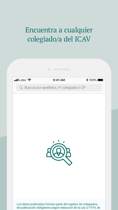ICAV Screenshot
