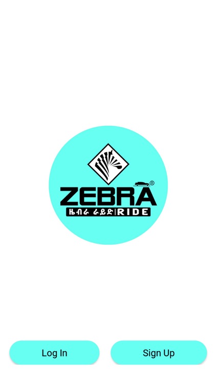Zebra Ride Passenger